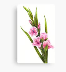 210x230 Gladiolus Drawing Canvas Prints Redbubble - Gladiolus Drawing