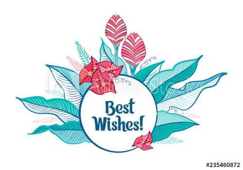 500x350 color graphic drawing set of festive, glamour tropic summer - Glamour Drawing