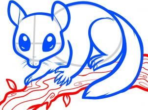 302x224 how to draw a sugar glider, sugar glider step drawing - Glider Drawing