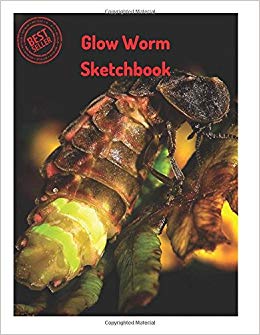 260x335 glow worm sketchbook blank paper for drawing, doodling - Glow Worm Drawing