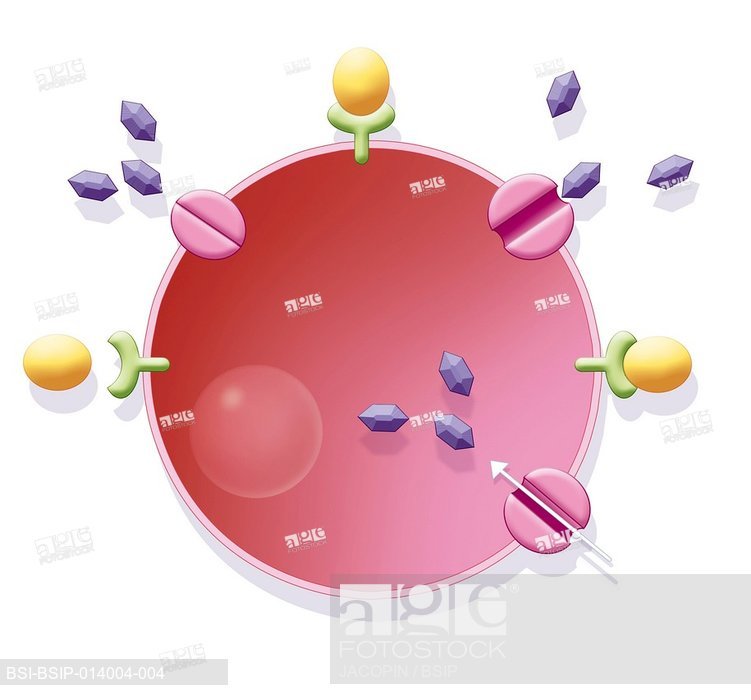 | Drawing PaintingValley.com Explore Glucose at ... collection