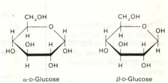 341x169 quick revisions biochemistry for medics lecture notes - Glucose Drawing