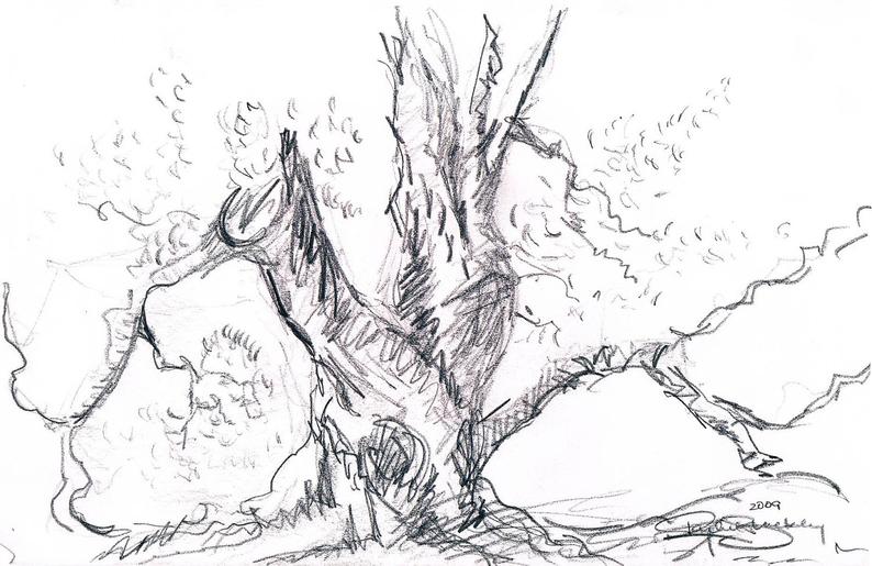 794x515 gnarled tree ink sketch ink drawing pen and ink black and etsy - Gnarled Tree Drawing