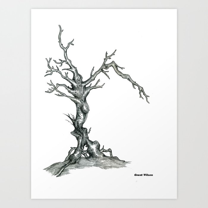700x700 gnarled tree pencil drawing art print - Gnarled Tree Drawing