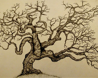 340x270 gnarled tree drawing etsy - Gnarled Tree Drawing
