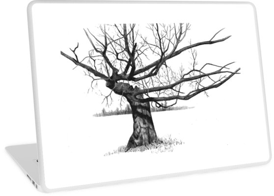 558x400 gnarly tree with twisted branches, pencil drawing laptop skins - Gnarled Tree Drawing