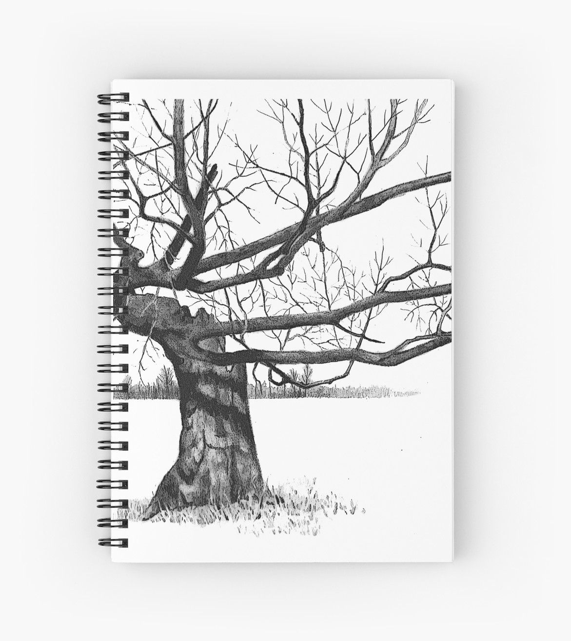 1171x1313 gnarly tree with twisted branches, pencil drawing spiral - Gnarled Tree Drawing