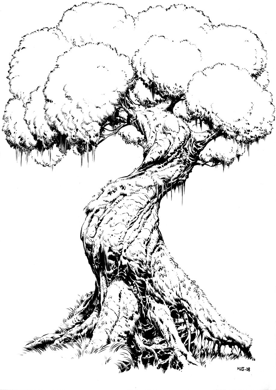 918x1300 gnarled tree - Gnarled Tree Drawing