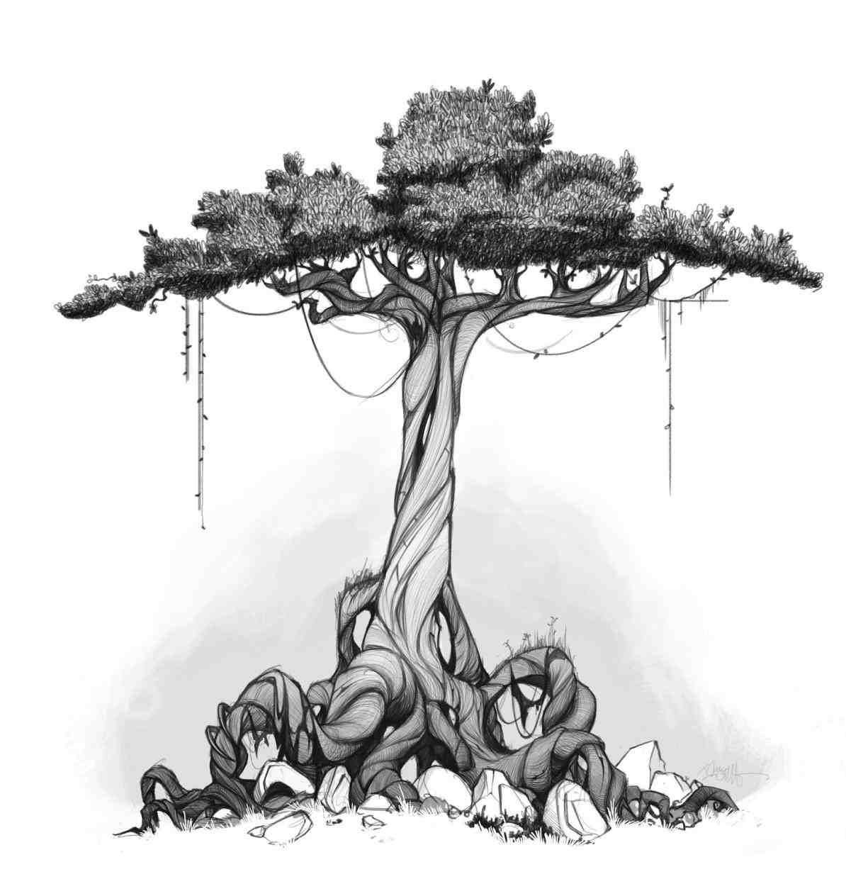 1194x1264 gnarled tree drawing a sketchbook art, tree sketches, drawings - Gnarled Tree Drawing