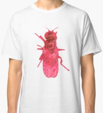 210x230 gnat drawing t shirts redbubble - Gnat Drawing