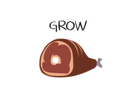 480x360 Go Grow Glow - Go Foods Drawing