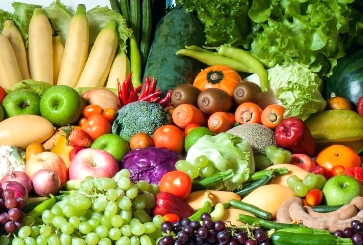 740x500 Grow Foods Pictures Drawing Aguasal Club - Go Foods Drawing