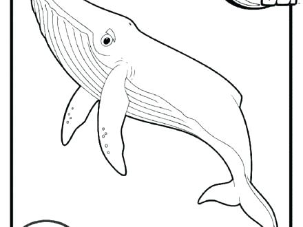 440x330 Coloring Pages For Adults To Print Printable Princess Disney Free - Go Foods Drawing