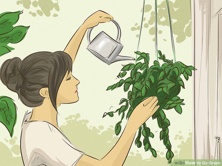 728x546 ways to go green - Go Green Drawing