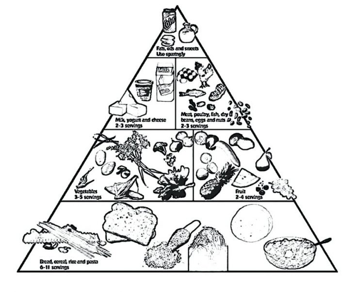 728x602 Modified Food Pyramid For Older People Coloring Pages Printable - Go Grow Glow Foods Drawing