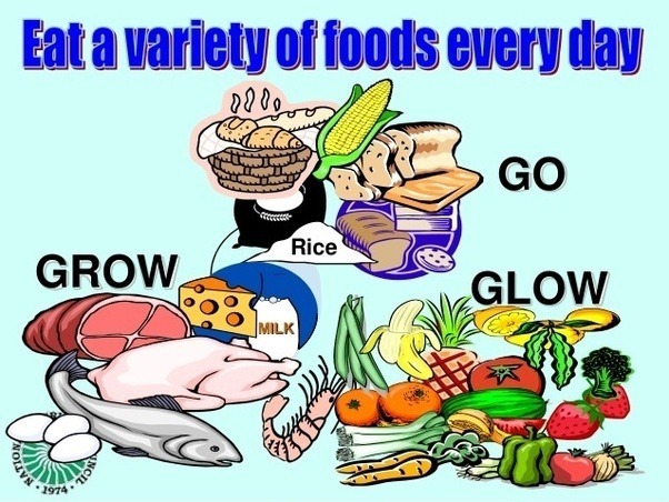 Go Grow Glow Foods Chart