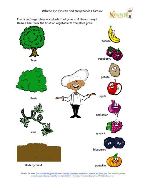 480x621 Free Download Go Grow Glow Food Worksheets For Grade Grade - Go Grow Glow Foods Drawing