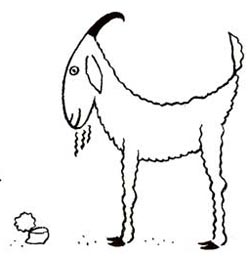 250x257 how to draw goats drawing tutorials drawing how to draw - Goat Cartoon Drawing