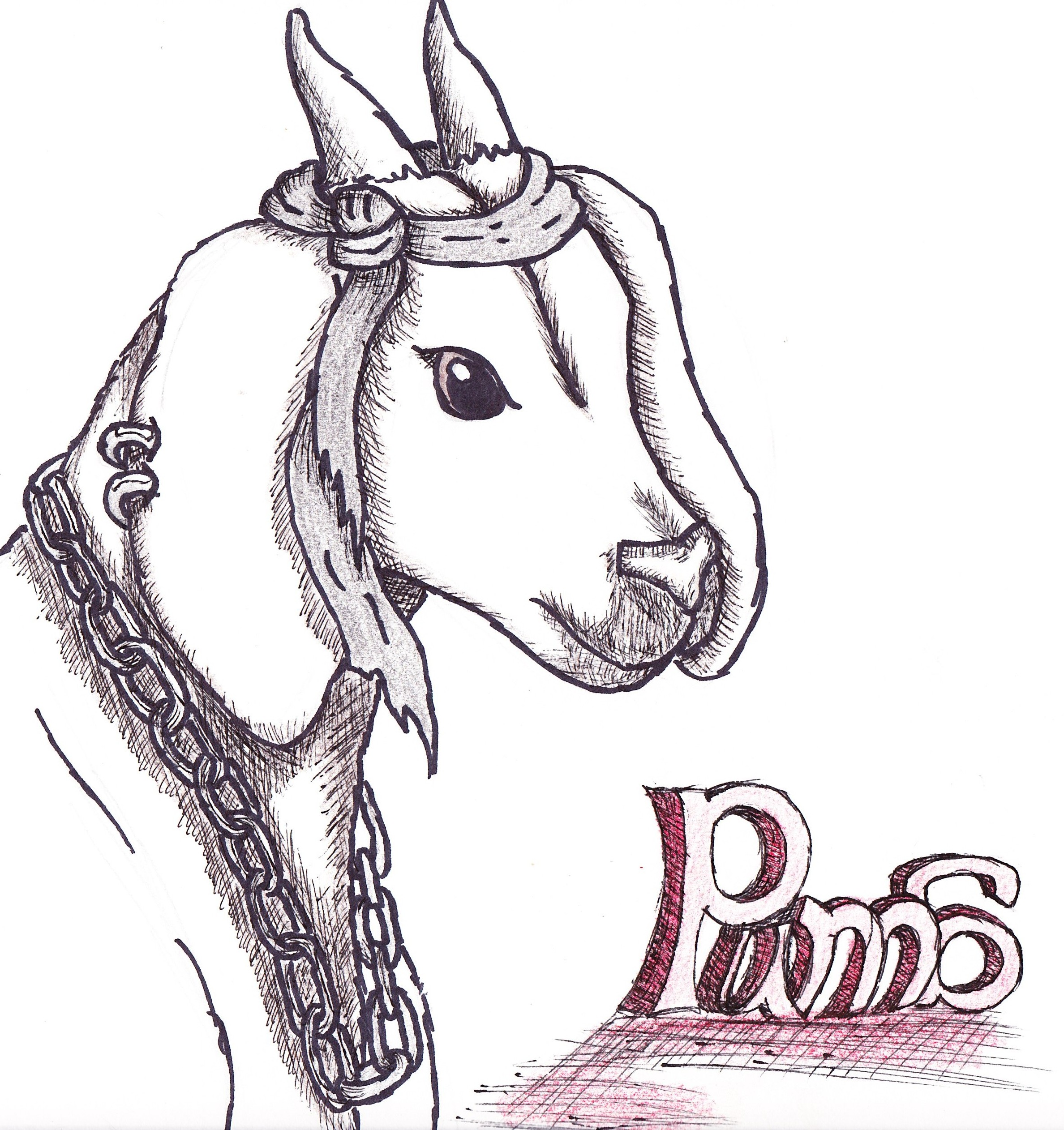 2376x2524 Cartoons - Goat Cartoon Drawing