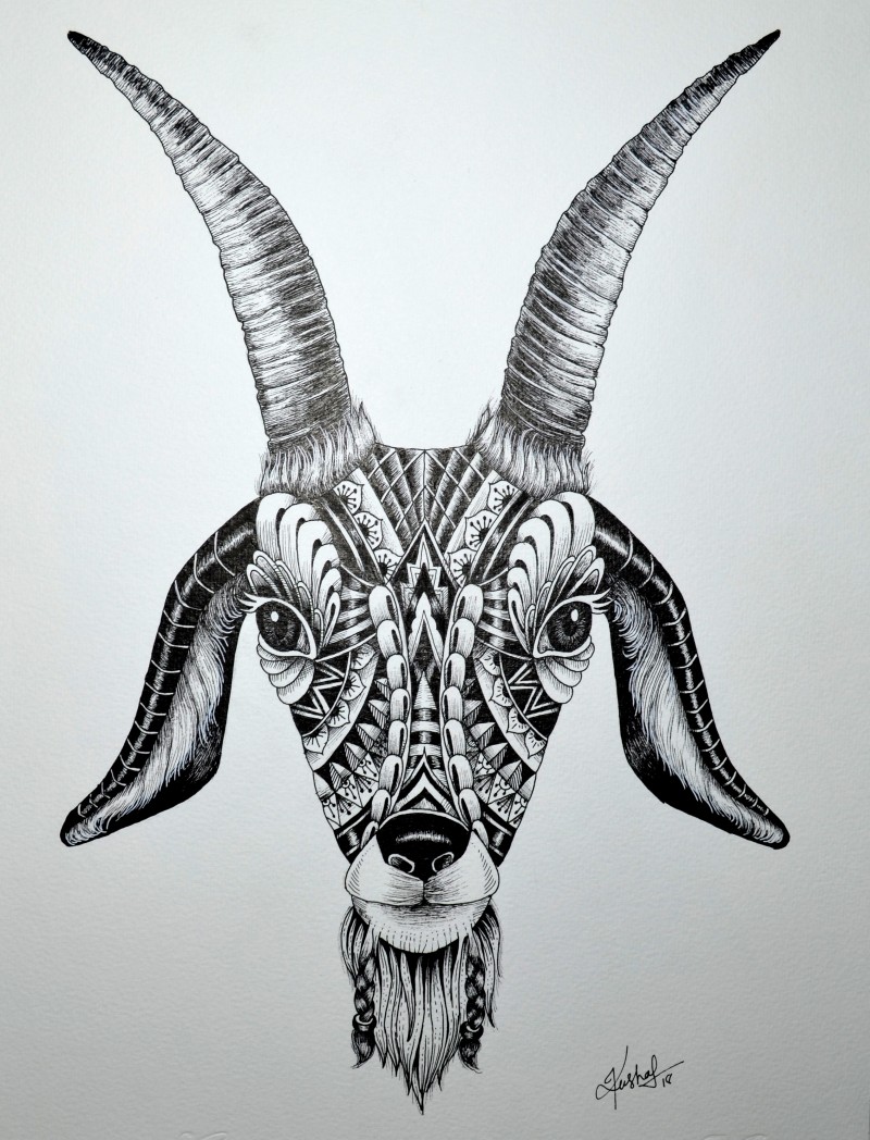 800x1048 Goat - Goat Drawing
