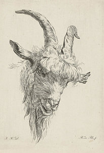 205x300 Head Of A Goat, Baron Reinierus Albertus Ludovicus Van Drawing - Goat Drawing