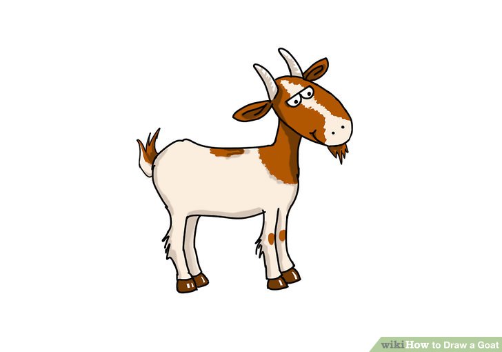 728x510 How To Draw A Goat - Goat Drawing