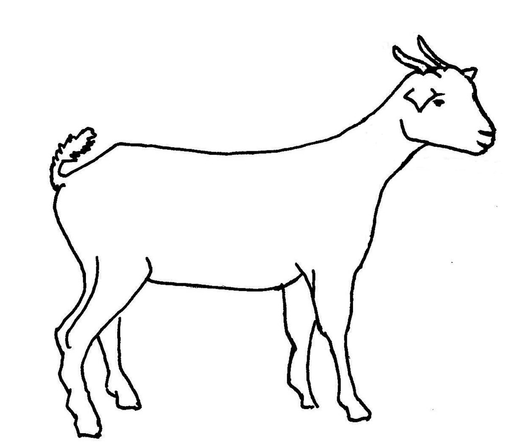 1024x876 Goat Drawing Sketch For Free Download - Goat Drawing Images