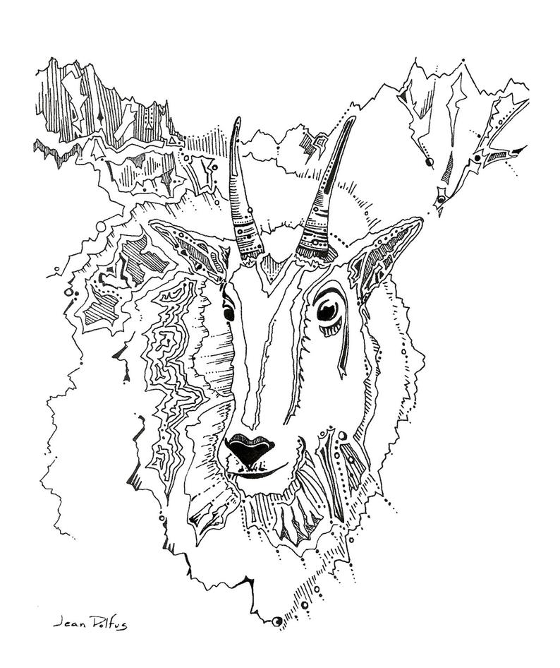 794x946 mountain goat drawing mt goat wildlife artwork fine art etsy - Goat Drawing Images