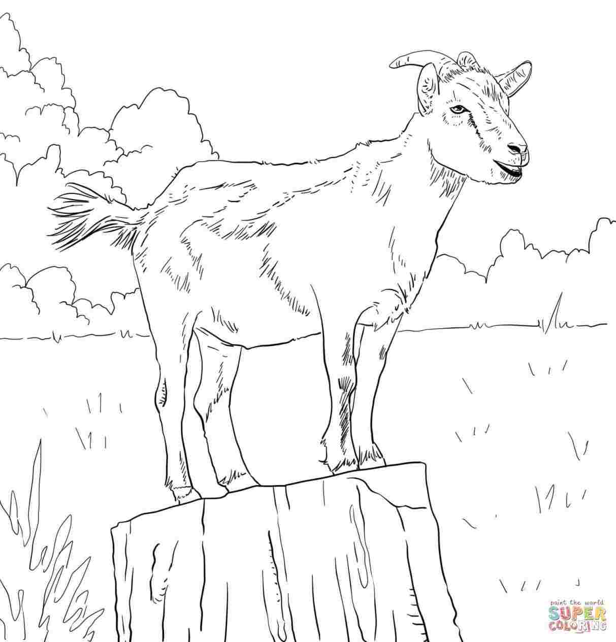 1213x1264 Goat Drawing For Kids - Goat Drawing Pictures