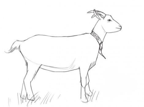 470x352 Children Drawings The Symbol - Goat Drawing Pictures