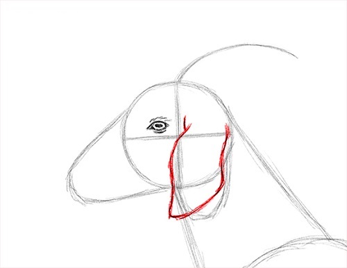 500x386 How To Draw A Goat Step - Goat Face Drawing