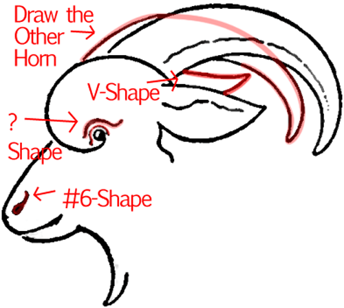 500x448 How To Draw A Goat Face With Easy Step - Goat Face Drawing