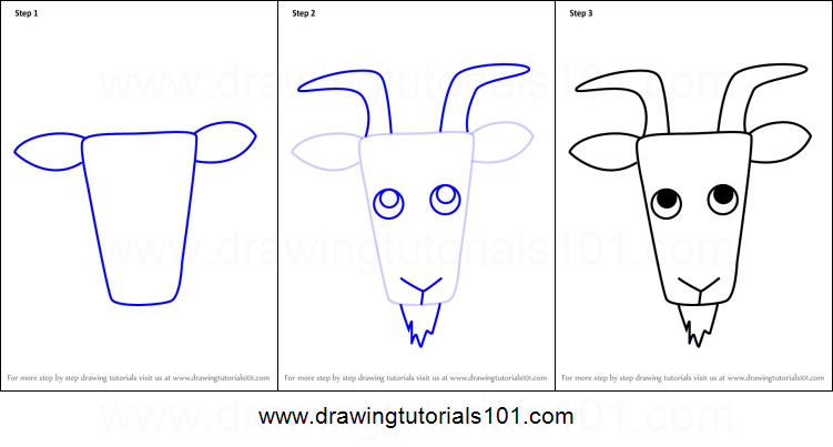 751x403 How To Draw A Wild Goat Face For Kids Printable Step - Goat Face Drawing