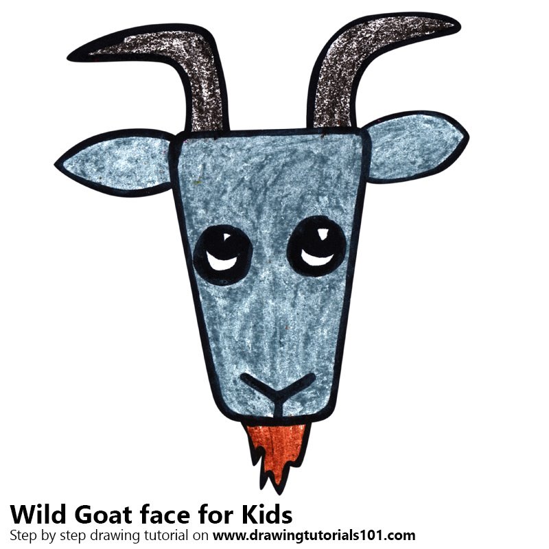 800x800 Learn How To Draw A Wild Goat Face For Kids - Goat Face Drawing