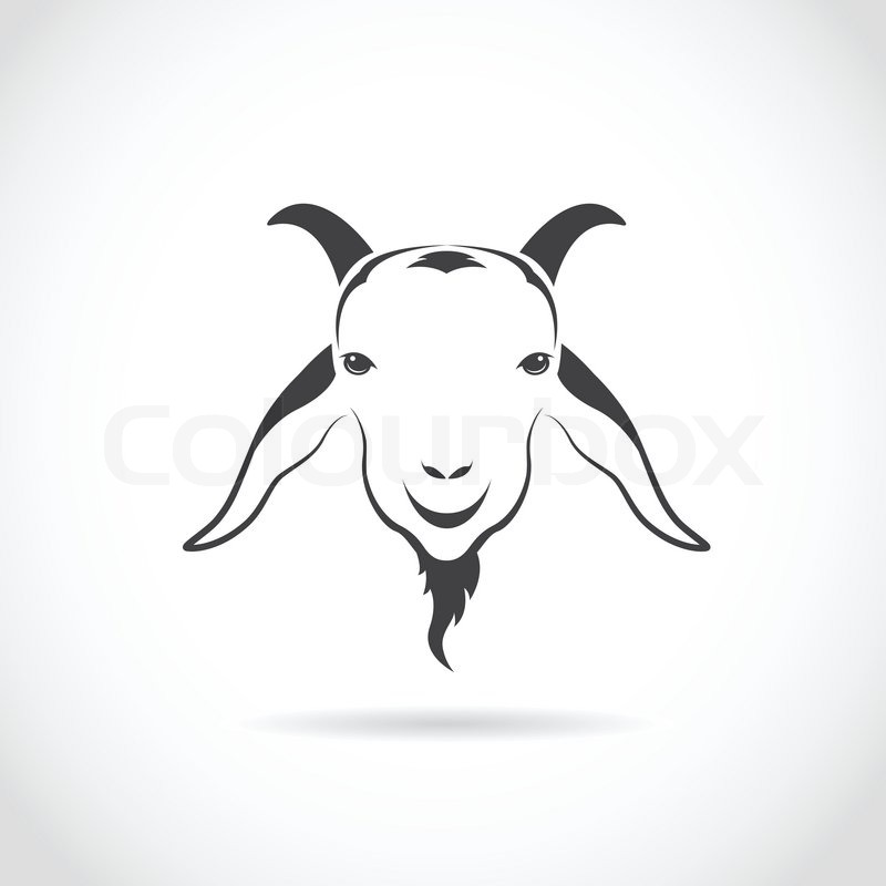 800x800 Vector Image Of An Goat Head On White Stock Vector Colourbox - Goat Face Drawing