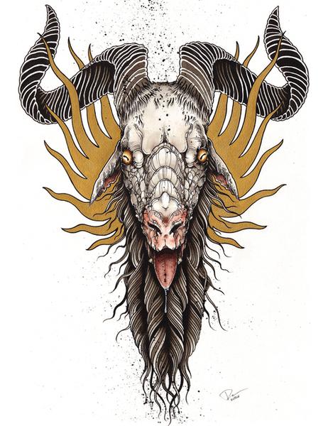 462x600 Derek Noble - Goat Head Drawing