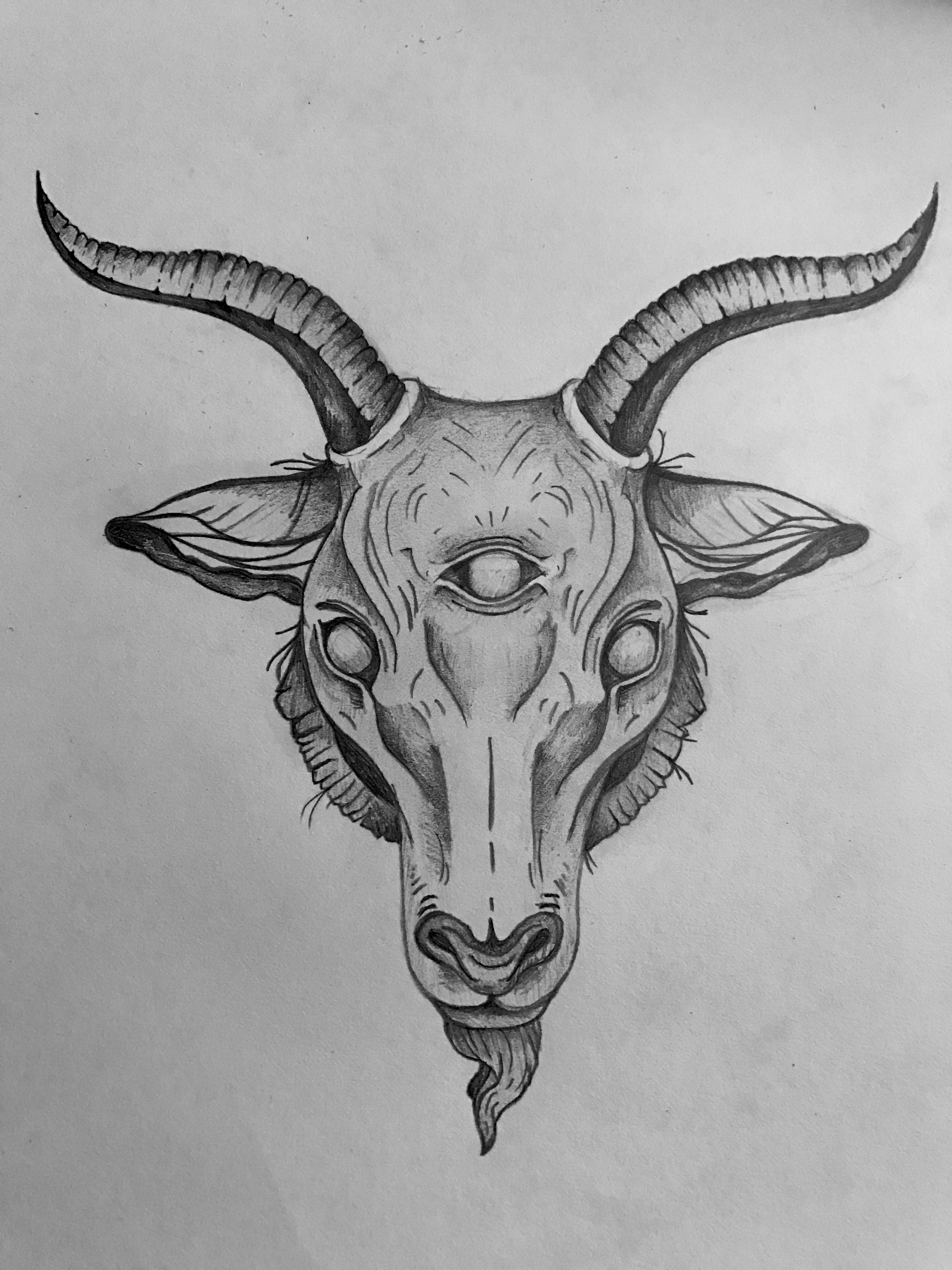 Goat Head Drawing at Explore collection of Goat