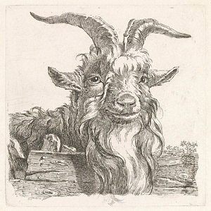 300x299 Goats Head Drawings Fine Art America - Goat Head Drawing