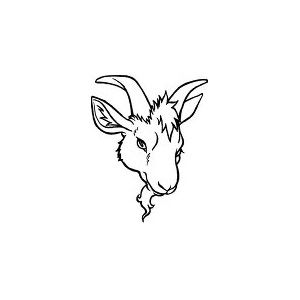 300x300 Cute Goat Head - Goat Head Drawing