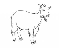 236x192 Goat Clip Art - Goat Line Drawing