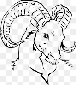 260x290 Goat Head Png, Vectors, And Clipart For Free Download - Goat Line Drawing