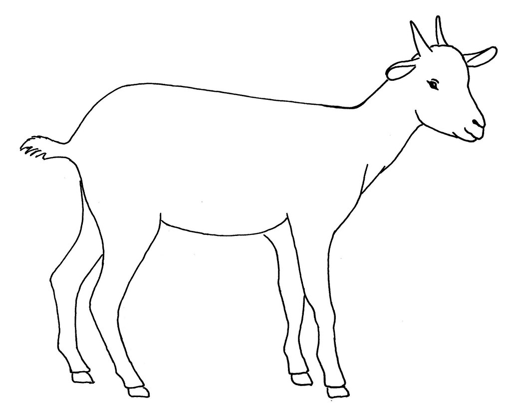 1024x826 All Sizes Line Drawing Of A Goat - Goat Line Drawing