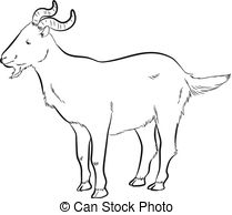 209x194 Goat Ram With Ships Anchor Black Line Drawing Vector Illustration - Goat Line Drawing