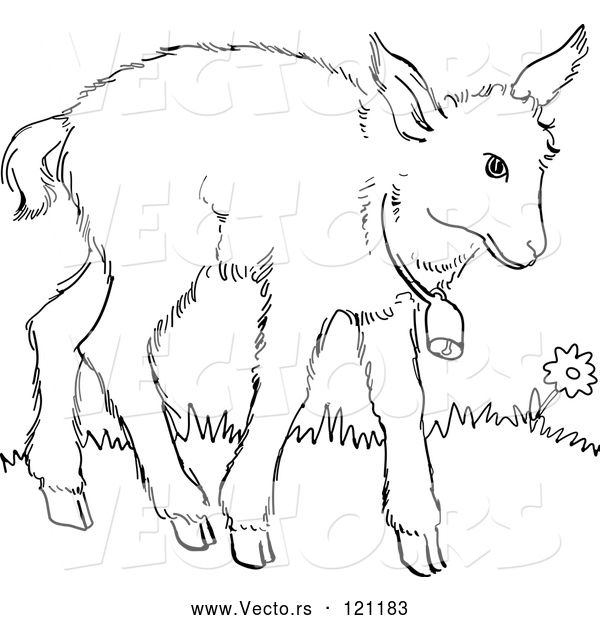 600x620 Vector Of Cartoon Retro Vintage Black And White Baby Goat - Goat Line Drawing