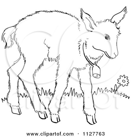 450x470 Cartoon Of A Retro Vintage Black And White Baby Goat With A Bell - Goat Line Drawing