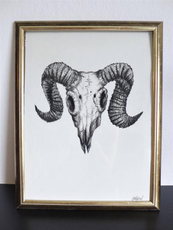 570x760 Goat Skull Charcoal Drawing On Natural Drawing Vintage Look - Goat Skull Drawing