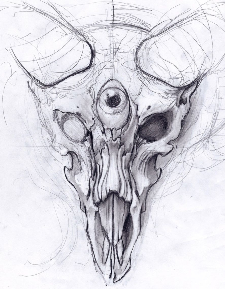 886x1136 Ram Skull Drawing Elegant Hand Drawn Goat Skull Doodle Vector - Goat Skull Drawing