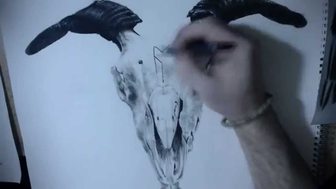 1280x720 Drawing Challenge Week - Goat Skull Drawing
