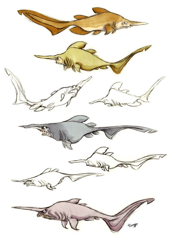 600x839 Goblin Shark - Goblin Shark Drawing