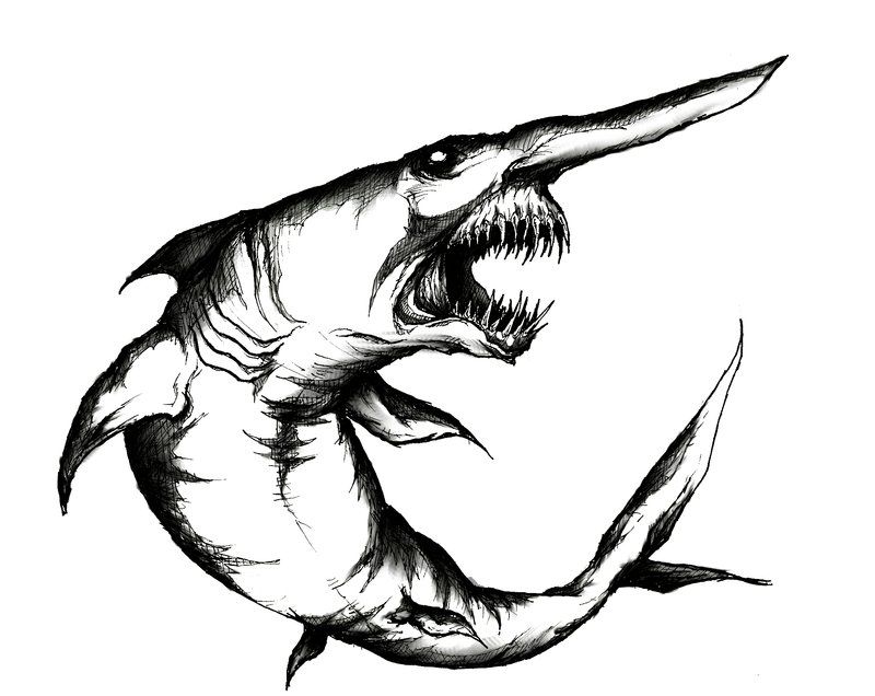 800x636 Sharks Goblin Shark, Shark, Animals - Goblin Shark Drawing